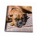 3dRose Boxer waiting - Memory Book 12 by 12-inch