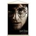 Harry Potter and the Deathly Hallows: Part 1 - Harry One Sheet Wall Poster with Wooden Magnetic Frame 22.375 x 34