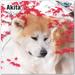 2023 2024 Akita Calendar - Dog Breed Monthly Wall Calendar - Made In USA - 12 x 24 (Open) - Planner Calendar for Organizing & Planning