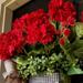 Red Geranium Bucket Spring Wreaths Summer Wreath Artificial Daisy Flower Garland for Front Door