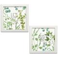 Gango Home Decor Cottage Mixed Greens LXV & Mixed Greens LXVI by Lisa Audit (Ready to Hang); Two 12x12in White Framed Prints