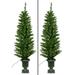 Set of Two 4.5 Feet High Pre-lit Entryway Pine Trees in Pot