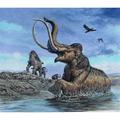 Columbian Mammoth trapped by asphalt at La Brea Tar Pits California Poster Print