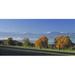 Panoramic Images PPI35212L Switzerland Reusstal Panoramic view of Pear trees in the Swiss Midlands Poster Print by Panoramic Images - 36 x 12