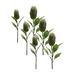 Melrose International Green Protea Leaf Stem (Set of 6)