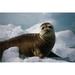 Harbor Seal Pup On Ice Pack Tracy Arm Se Alaska Summer Fords-Terror Wilderness Area Poster Print 34 x 22 - Large