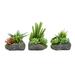 Pure Garden Artificial Succulent Plant Arrangement in Faux Stone Pots 3 Piece Set in Assorted Sizes