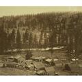 cluster of log buildings one identified as a restaurant of the gold mining town Rock Creek British Columbia as seen from a hillside above the town with the creek in the background. Poster Print