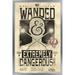 Fantastic Beasts And Where To Find Them - Wanded - Extremely Dangerous Wall Poster 14.725 x 22.375 Framed