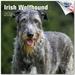 2023 2024 Irish Wolfhound Calendar - Dog Breed Monthly Wall Calendar - 12 x 24 Open - Thick No-Bleed Paper - Giftable - Academic Teacher s Planner Calendar Organizing & Planning - Made in USA