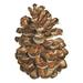 Home for the Holidays icon VII-Pinecone 1 by Tara Reed (12 x 12)