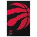NBA Toronto Raptors - Logo 18 Wall Poster 22.375 x 34 Framed