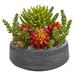 Nearly Natural 12 in. Succulent Garden Artificial Plant in Bowl