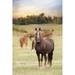 Jackson Horse Farm Poster Print by Lori Deiter LD2007