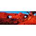 Natural arches at Arches National Park Moab Utah USA Poster Print by Panoramic Images (30 x 12)