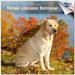 2023 2024 Yellow Labrador Retriever Calendar - Dog Breed Monthly Wall Calendar - Thick No-Bleed Paper - Academic Teacher s Planner Calendar Organizing & Planning - Made in USA