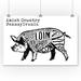 Amish Country Pennsylvania - Butchers Block Meat Cuts - Black Pig on White - Lantern Press Artwork (24x36 Giclee Gallery Print Wall Decor Travel Poster)