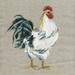 Linen Rooster I Poster Print by Carol Robinson (24 x 24)