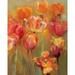 Tulips in the Midst II Poster Print by Marilyn Hageman (24 x 30)