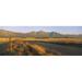 Panoramic Images PPI74017L Road running through a farm South Africa Poster Print by Panoramic Images - 36 x 12