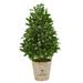 Nearly Natural 39-In. Bay Leaf Cone Topiary Artificial Tree in Farmhouse Planter