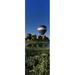 Reflection of hot air balloons in a lake Hot Air Balloon Rodeo Steamboat Springs Routt County Colorado USA Poster Print by - 12 x 36