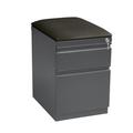 Hirsh 20 inch Deep Letter Width Mobile Pedestal File Cabinet 2 Drawer Box-File with Seat Cushion for Home and Office Charcoal/Black