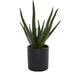 Nearly Natural 14 in. Agave Succulent in Decorative Planter