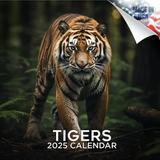 2023 2024 Tigers Calendar - African Wildlife Monthly Wall Calendar - 12 x 24 Open - Thick No-Bleed Paper - Giftable - Academic Teacher s Planner Calendar Organizing & Planning - Made in USA