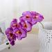 [Big Clear!]Phalaenopsis Orchid Silk Real Touch Flower White Artificial Flower Wedding Flower Orchid Floral Christmas Party