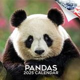 Pandas Calendar 2024 - Pandas Premium Wall Calendar 2024