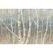Silver Birch Landscape Poster Print by Cynthia Coulter (24 x 36)