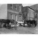 Horse Christmas Party Outside of Washington s Humane Society; free Horse dinners offered - young Black and white boys attend Poster Print (24 x 36)