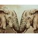 Mirror Elephants Poster Print by Boho Hue Studio Boho Hue Studio (24 x 18)