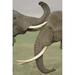 Panoramic Images PPI95813 Two African elephants fighting in a field Ngorongoro Crater Arusha Region Tanzania - Loxodonta africana Poster Print by Panoramic Images - 16 x 24