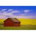 A Red Farm Building Against A Canola Field Poster Print by Carson Ganci 34 x 22 - Large