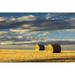 Hay bales in a clear cut field highlighted by the sun with dramatic clouds and blue sky; Alberta Canada Poster Print by Michael Interisano / Design Pics (17 x 11)