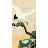 Japanese crane bird on branch of pine by Ohara Koson (18 x 36)