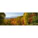 Trees in a forest Roaring Fork Motor Nature Trail Great Smoky Mountains National Park Tennessee USA Poster Print (7 x 18)