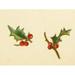Holly Berries from Dickens 1898 Holly 2 Poster Print by Unknown (18 x 24)