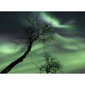 Northern Lights in the arctic wilderness Nordland Norway Poster Print (16 x 11)