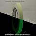 Pro Tapes Pro-Glow Glow in the Dark Tape: 1/2 in x 30 ft. (Luminescent Lime Green)
