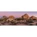 Joshua trees and rocks on a landscape Joshua Tree National Park California USA Poster Print by Panoramic Images (15 x 6)