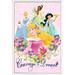 Disney Princess - Courage and Dream Wall Poster 22.375 x 34 Framed