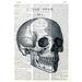 Art N Wordz The Head Skull Original Dictionary Sheet Pop Art Wall or Desk Art Print Poster