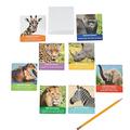 Safari Animals Notepad - Party Favors - 24 Pieces