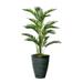 Vintage Home Artificial Faux Real Touch 5.67 Feet Tall Palm Tree With Eco Planter