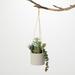 Sullivans Artificial Hanging Succulent In Pot 7 H Green