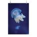 Pudgy Jellyfish In Neon Light Poster - Image by Shutterstock