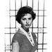 Sophia Loren Poster Print by Hollywood Photo Archive Hollywood Photo Archive (24 x 36)